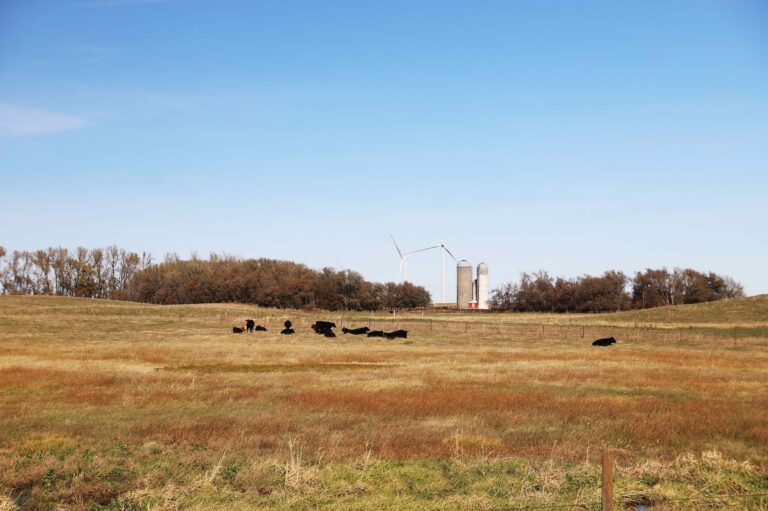 Prevailing Wind Park Olsen Beal prevailing-wind-park-olsen-beal